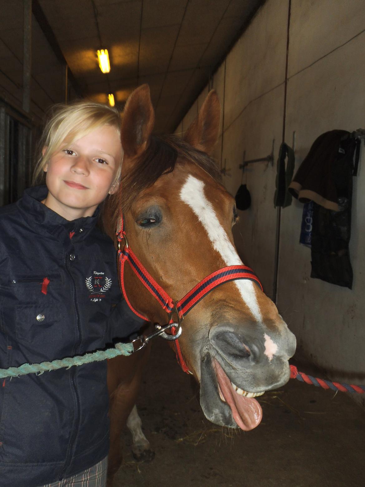 Palomino Aastrupgaards Gry - Elsker det billede! Det viser bare hvor "normale" vi er :) billede 13