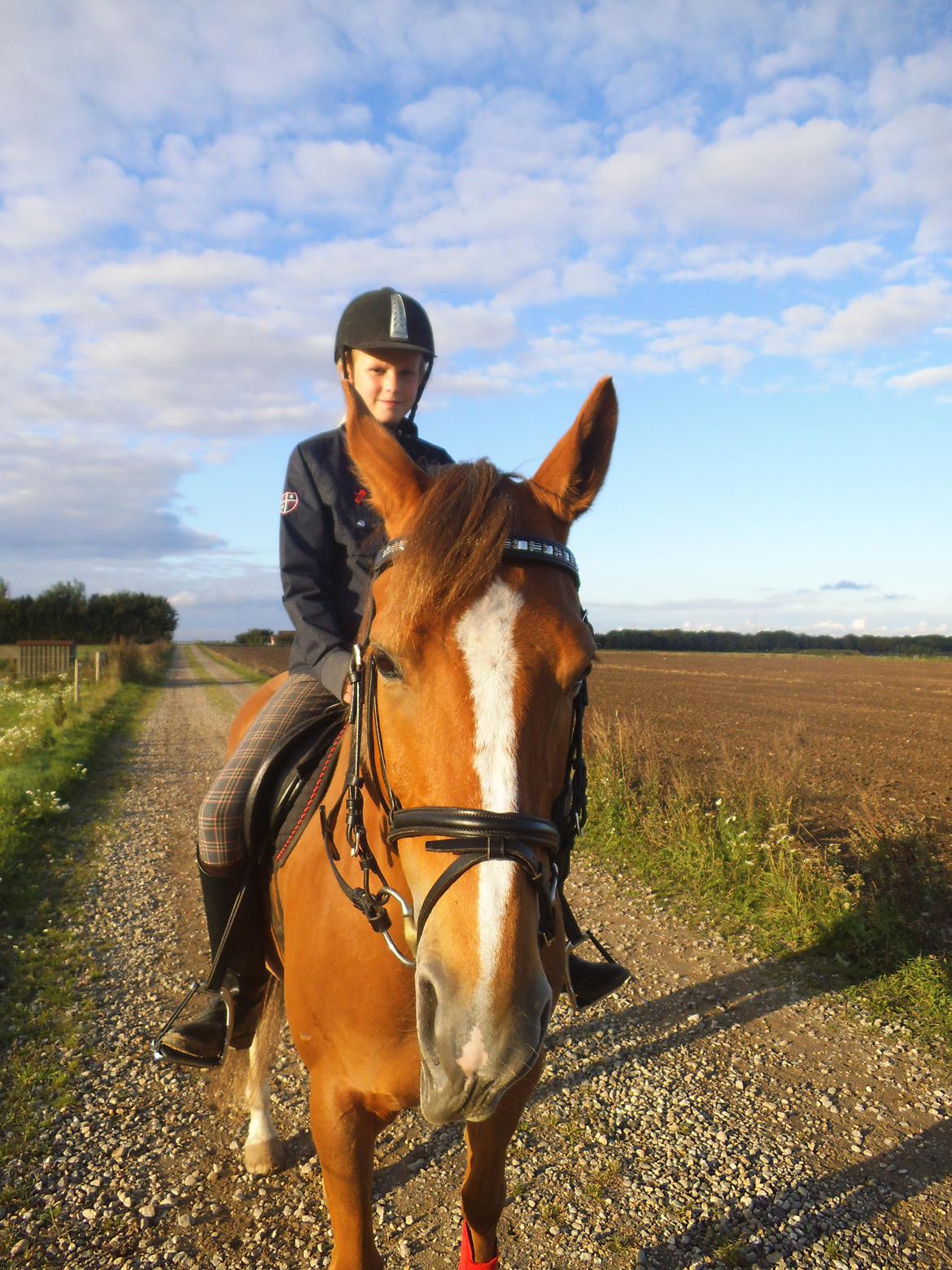 Palomino Aastrupgaards Gry - Elsker baggrunden. Elsker dig! billede 15