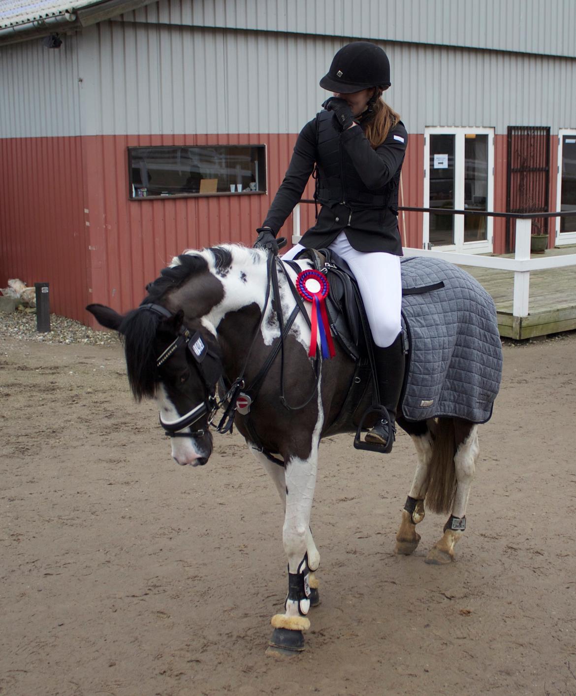 Pinto Vidtskue's Fenja (Tidligere låne pony) - 0 runde i LD! billede 12