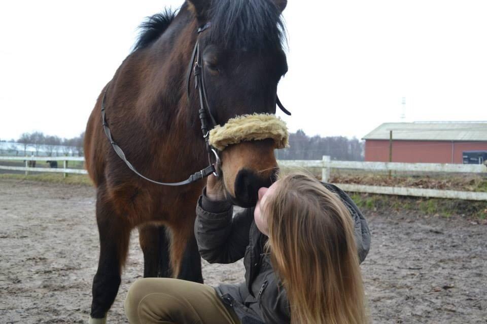 New Forest Mister twostar (tidl. Part) billede 8