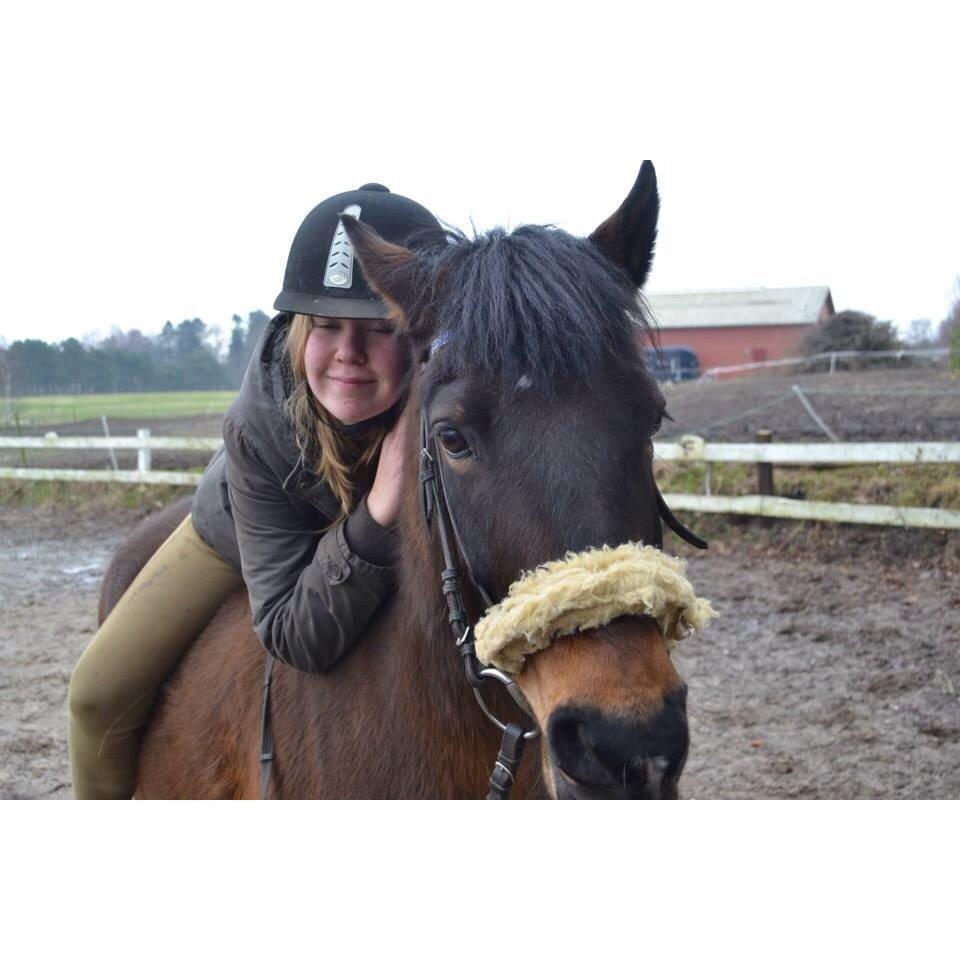 New Forest Mister twostar (tidl. Part) billede 12