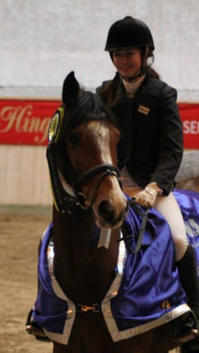 Dansk Varmblod Volstrups Carla - Præmieoverraskelse - Århusmesterskab 2014 billede 14