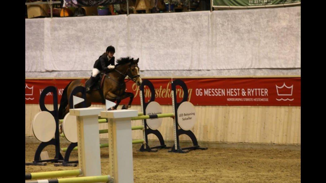 Dansk Varmblod Volstrups Carla - Århusmesterskab 2014 billede 9