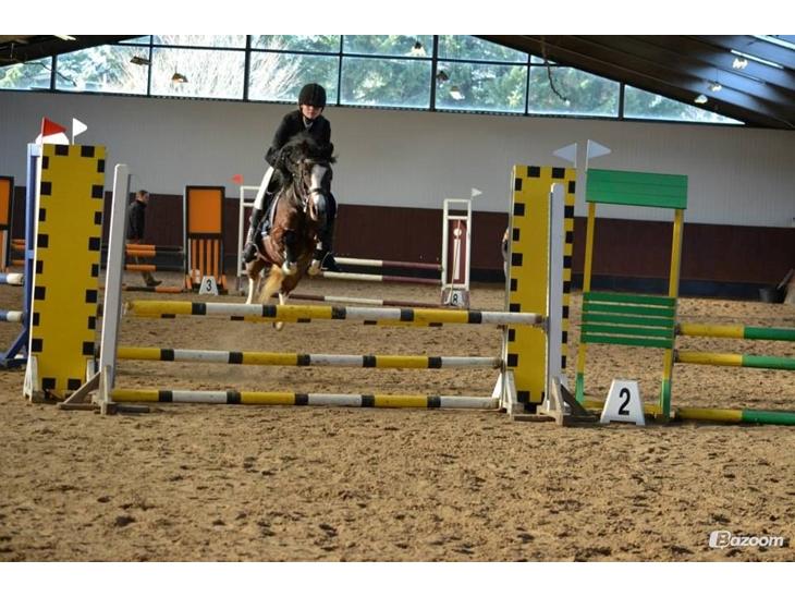 {{currentPhoto.altText}} billede {{currentPhoto.number}}