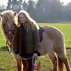 Islænder Sif fra Pilegaarden