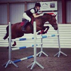 Anden særlig race Zeekira <3