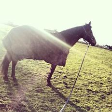 Anden særlig race Zeekira <3