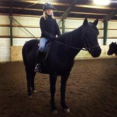 Anden særlig race Fara Diba