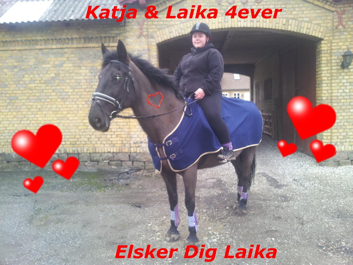 Anden særlig race Laika ( min prinsessen <3 ) død billede 11