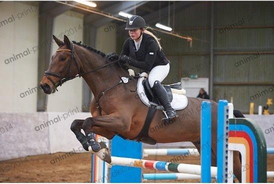 Holstener Quite la bryere billede 7