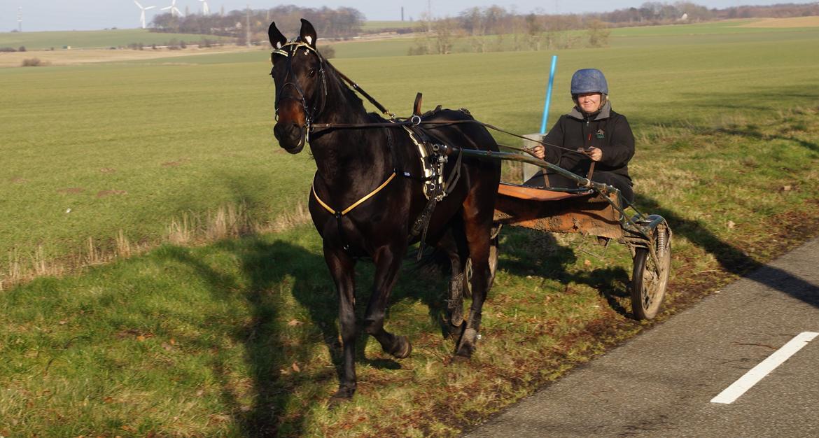 Traver Walkabout - Walkabout og Linea den 23-2-14 billede 27