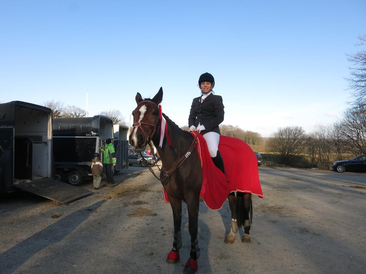 Dansk Varmblod Arianna billede 12