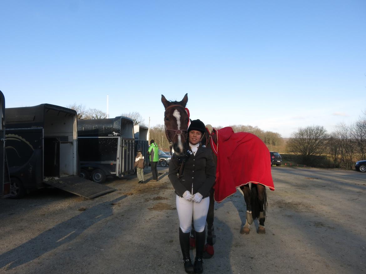 Dansk Varmblod Arianna billede 14