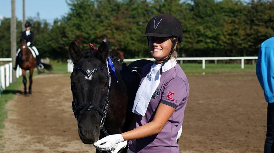 New Forest Skovlundegårds Quality SOLGT billede 4