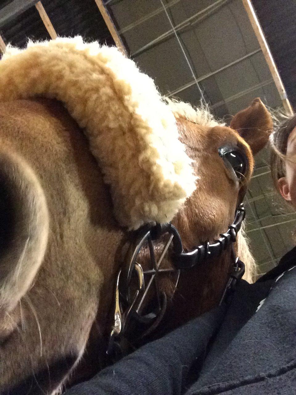 Frederiksborg | Ajaxander Jones (Ajax) billede 33