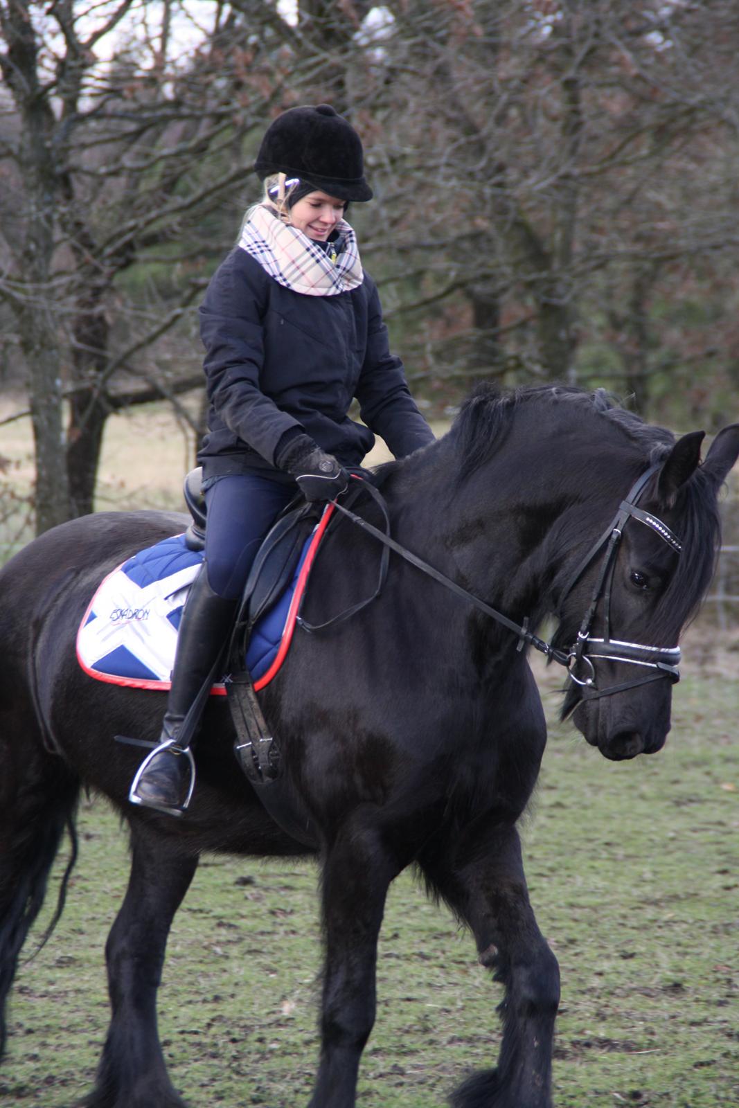 Frieser Tothøjlunds Joy billede 8