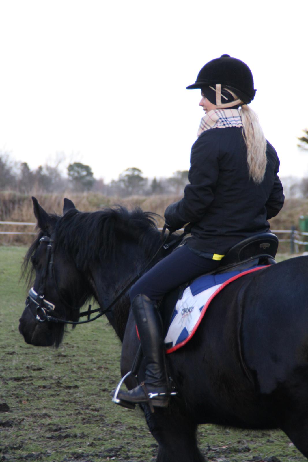 Frieser Tothøjlunds Joy billede 13