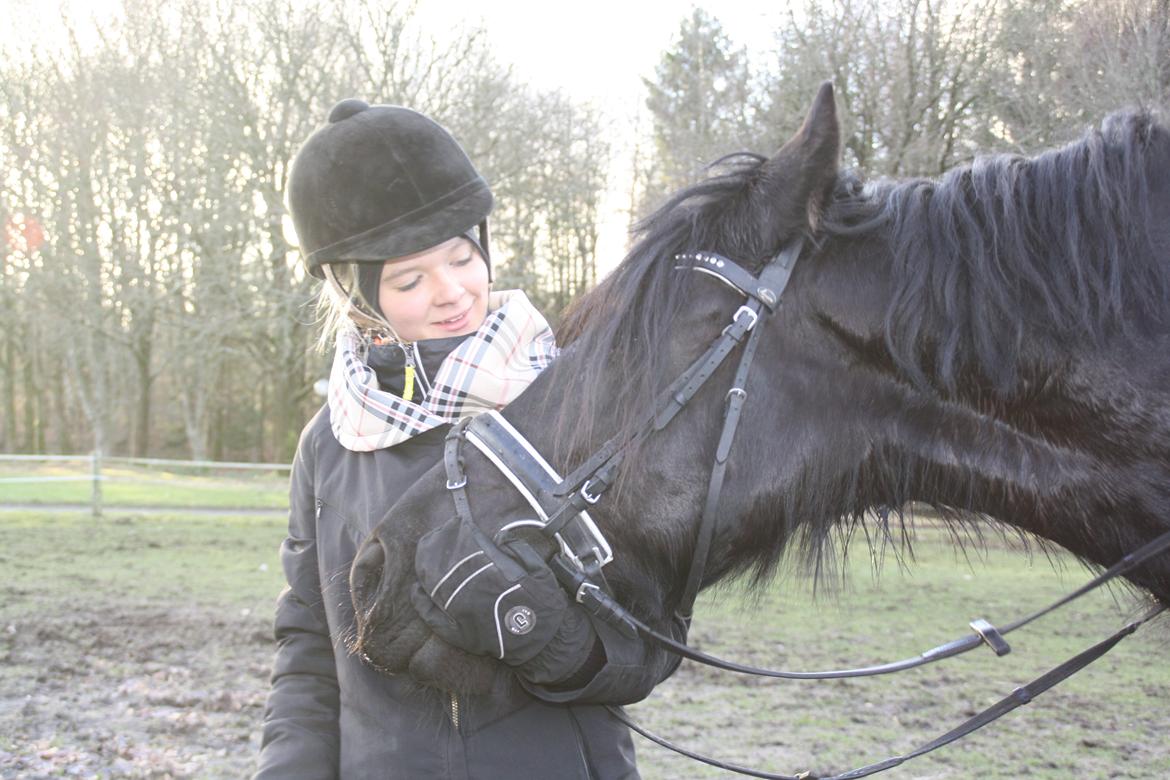 Frieser Tothøjlunds Joy billede 1