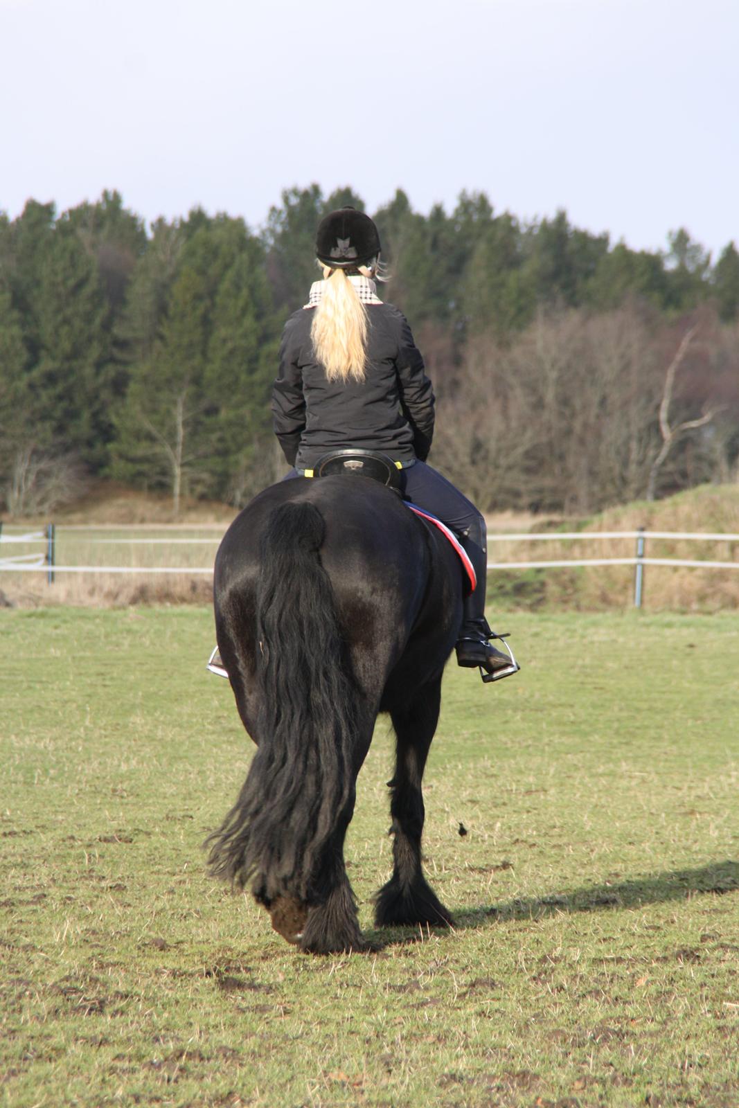 Frieser Tothøjlunds Joy billede 15