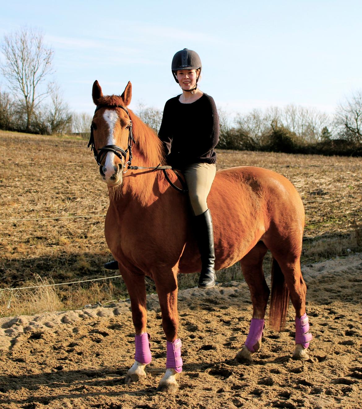 Frederiksborg Tastum Queen - Velkommen til Queens Profil :-) billede 1