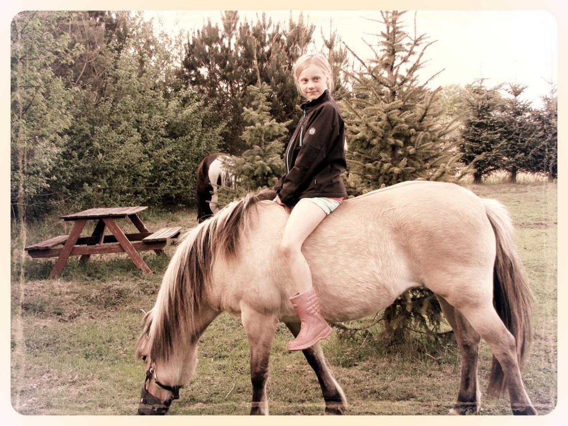 Anden særlig race Freja (mit et og alt)<3 - det gælder ikke om at finde en man kan leve med men at finde en man ikke kan leve uden!<3                       vi hygger os på folden <3 billede 5