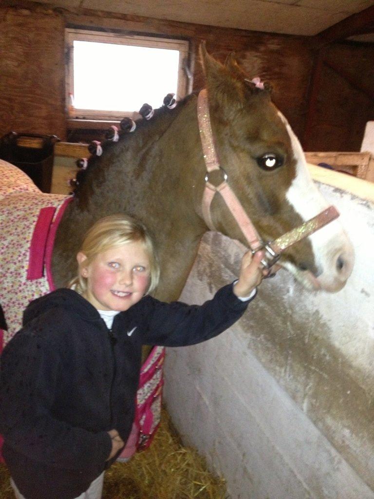 New Forest Judy billede 3