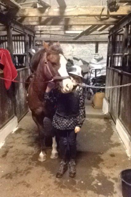 New Forest Judy billede 5