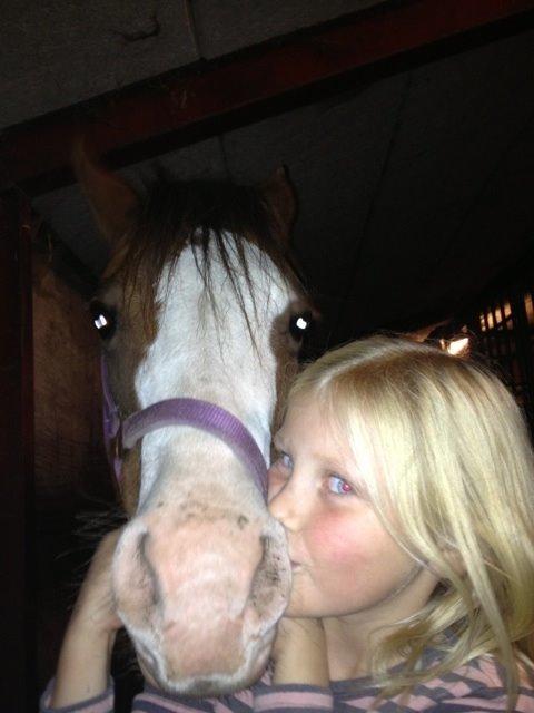 New Forest Judy billede 6