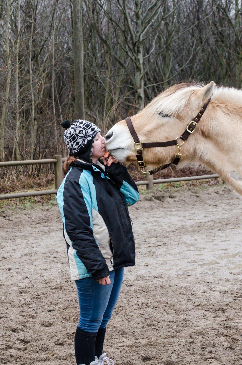 Fjordhest KRAGELUNDS TRYM - 12.02.14 - Og at kysse ;) <3 billede 20