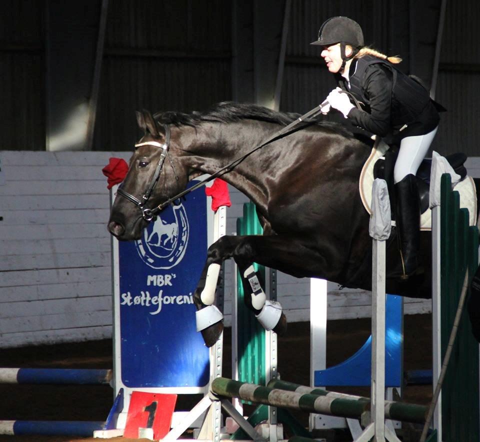 Dansk Varmblod Bornhøfts Black Luc - Smukke smukke basse :-)  billede 13
