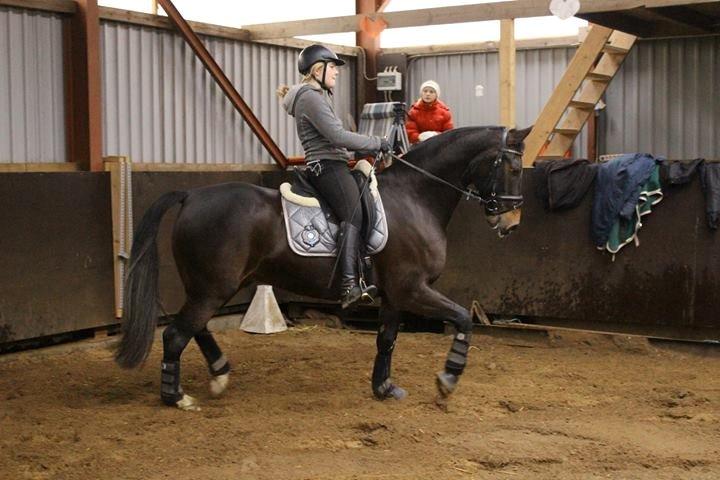 Oldenborg Prins Alexander af Skovlyst billede 1