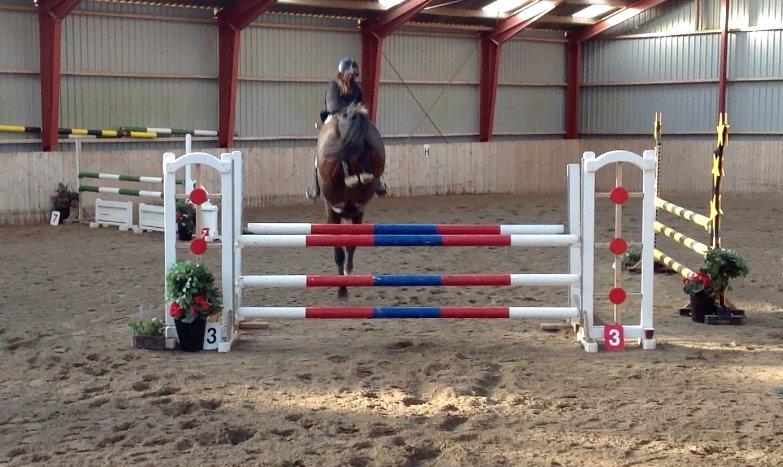 Anden særlig race Pondus - LA2** MBRK 23/2/14 billede 18