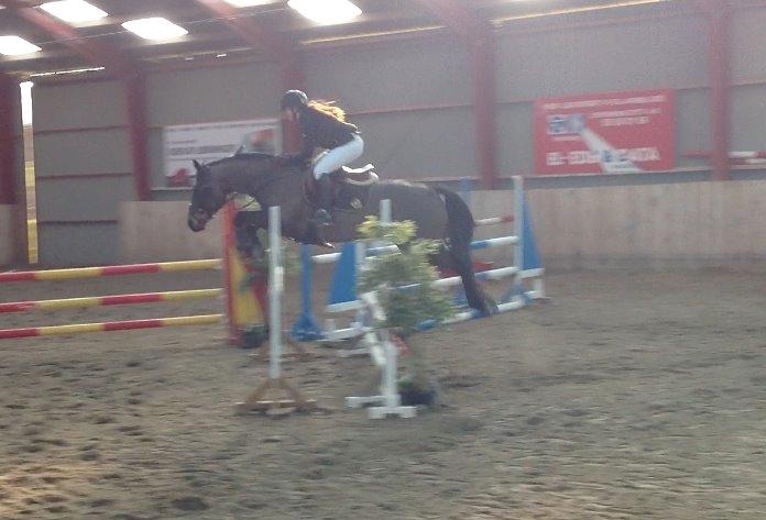 Anden særlig race Pondus - U-LA2** i MBRK billede 7