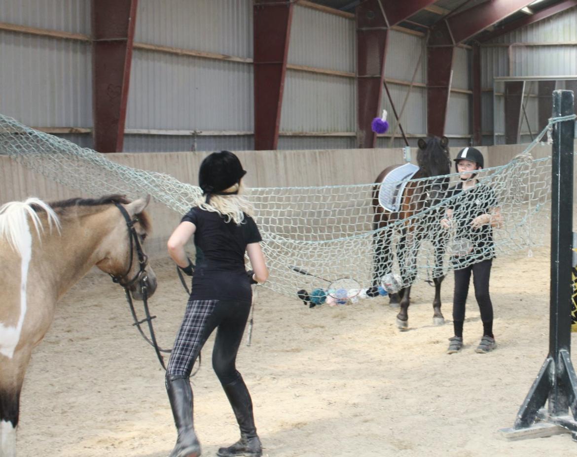 Anden særlig race Bonni - Totminton (badminton bare med en garntot) fra i sommers billede 20