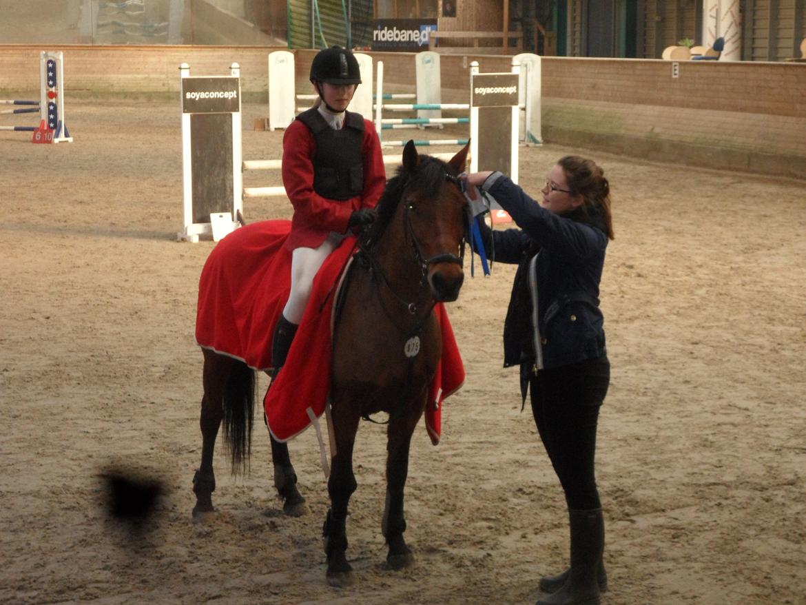 Hollandsk Sportspony Melanie's Lady  B-PONY - D. 23.2.2014 2 Plads i LB1* Sønderborg Rideklub billede 31
