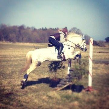 Anden særlig race Rico (nuller) <3 - nulle<3 billede 18