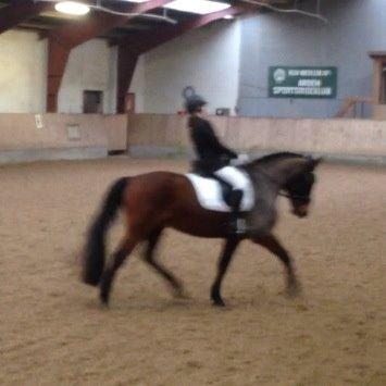 Anden særlig race Sam <3 - Stævne i Arden <3 LC2' en jeg vandt med næsten 68% billede 7