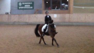 Anden særlig race Sam <3 billede 8