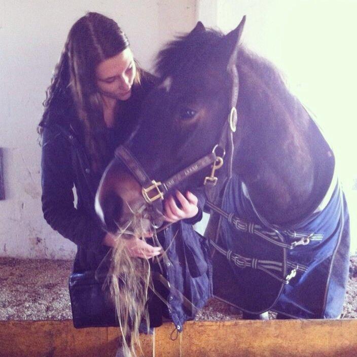 Hollandsk Sportspony Mistery Girl - Nede og sige farvel til min smukke pige. billede 20