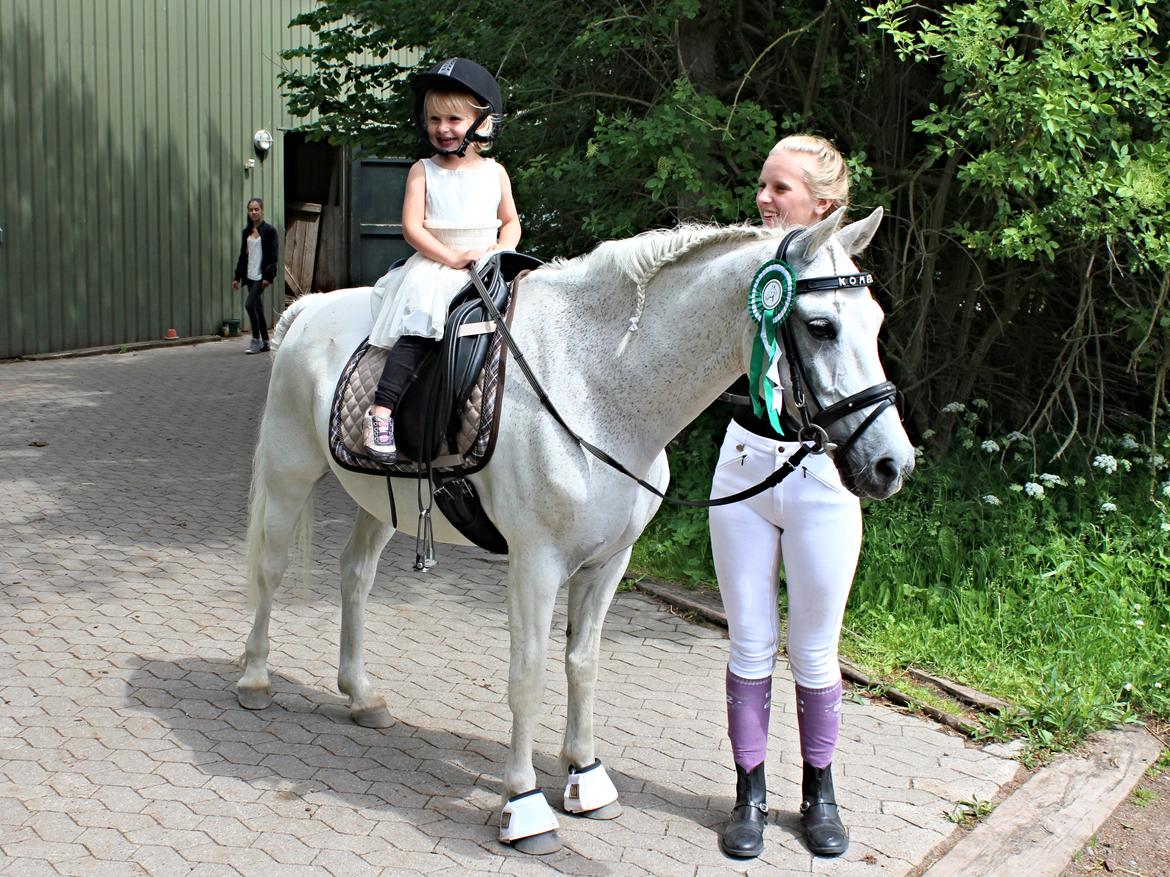 Welsh Pony (sec B) Lyngvejens Komet <3 - Lille søstre elsker dig også!<3 billede 10
