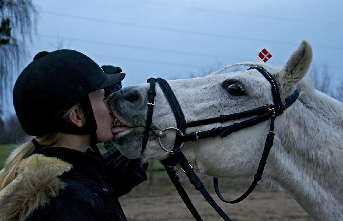 Welsh Pony (sec B) Lyngvejens Komet <3 - Du er min bedste ven!<3 Det vil du altid være <3 billede 11