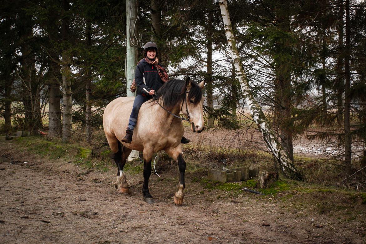 Frederiksborg Safran Lundsgård aka. Dulle billede 14