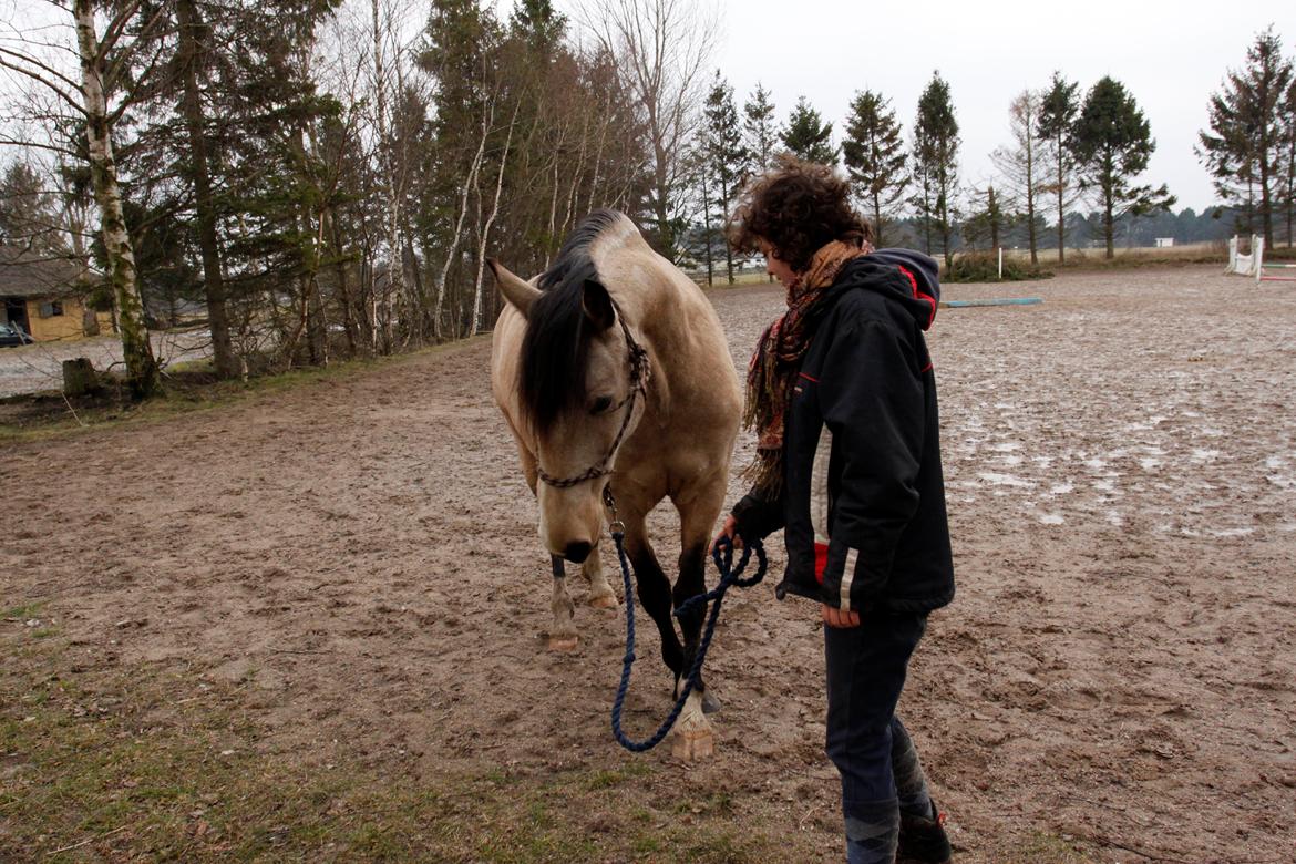 Frederiksborg Safran Lundsgård aka. Dulle - Så går man til siden.. billede 6