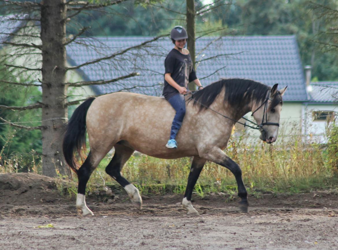Frederiksborg Safran Lundsgård aka. Dulle billede 5
