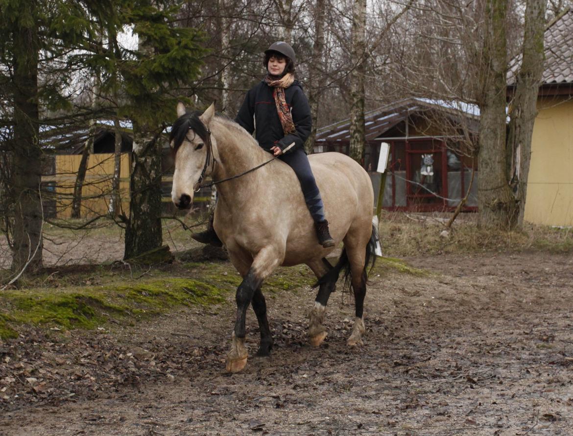 Frederiksborg Safran Lundsgård aka. Dulle billede 3