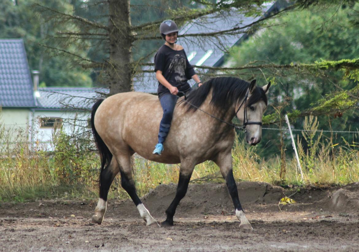 Frederiksborg Safran Lundsgård aka. Dulle billede 11