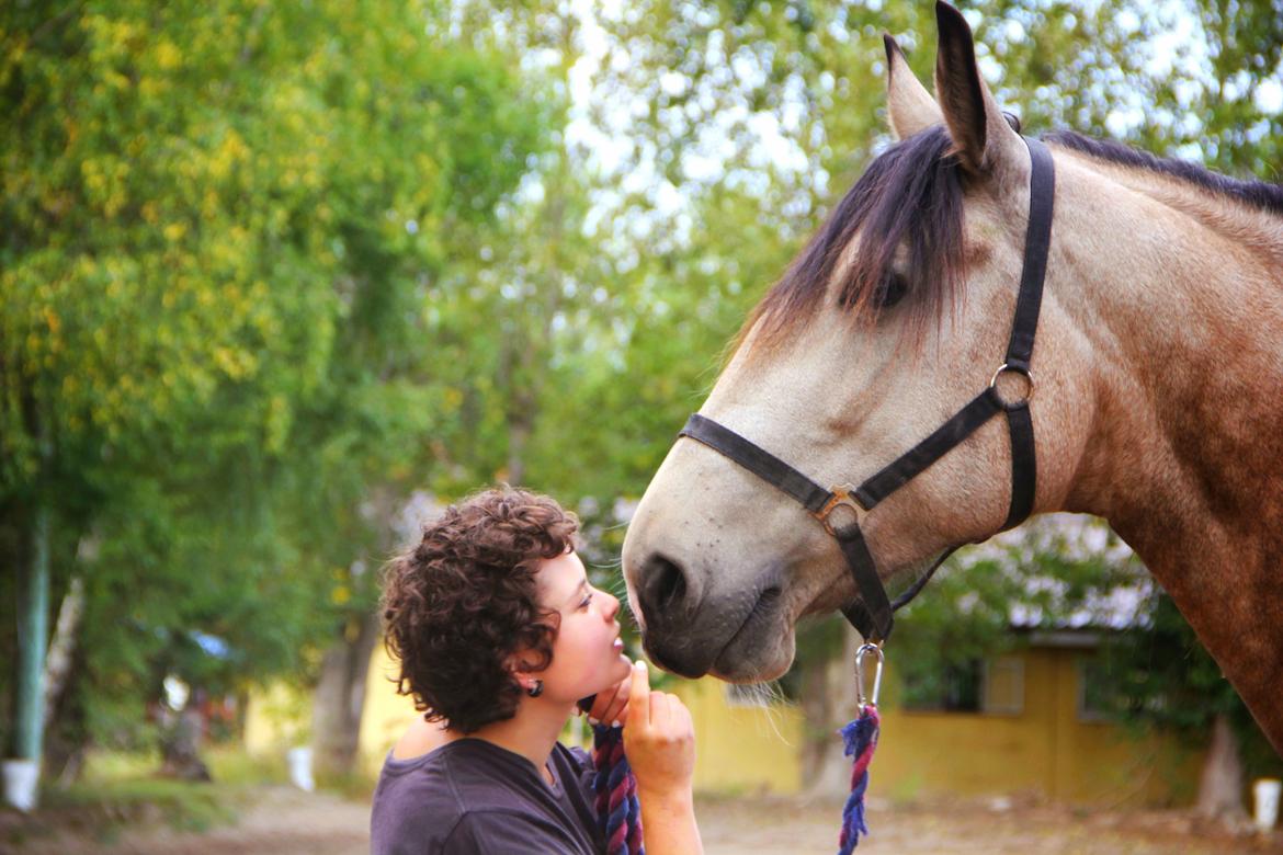 Frederiksborg Safran Lundsgård aka. Dulle - Vores hemmelighed..! billede 1