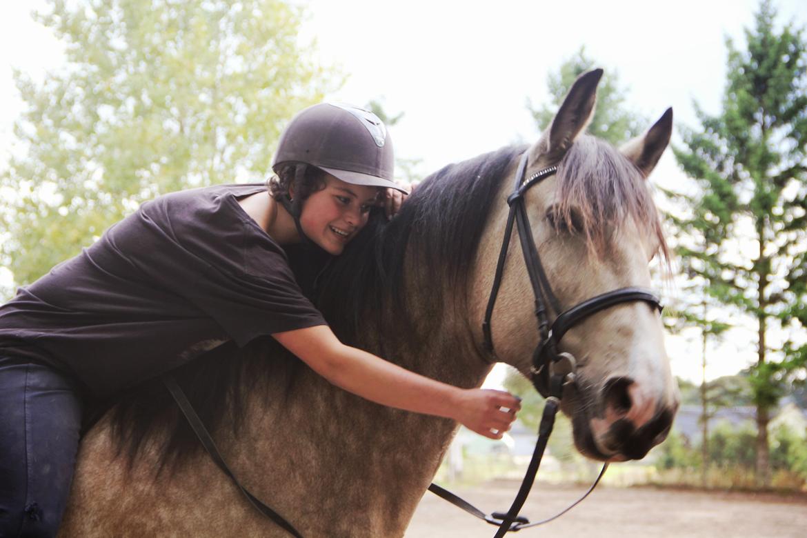 Frederiksborg Safran Lundsgård aka. Dulle billede 4