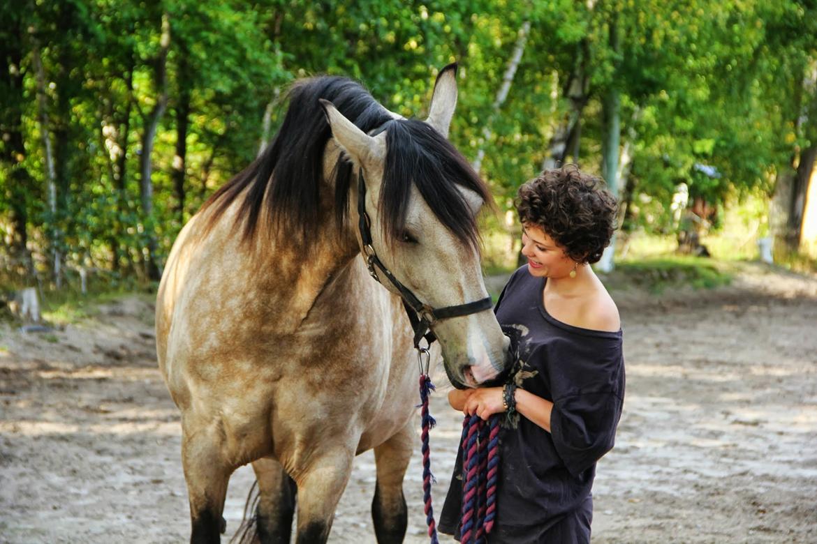 Frederiksborg Safran Lundsgård aka. Dulle billede 8