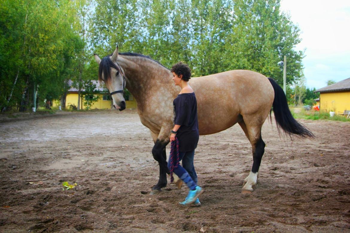 Frederiksborg Safran Lundsgård aka. Dulle - Vi bakker.. lidt ufokuseret billede 15